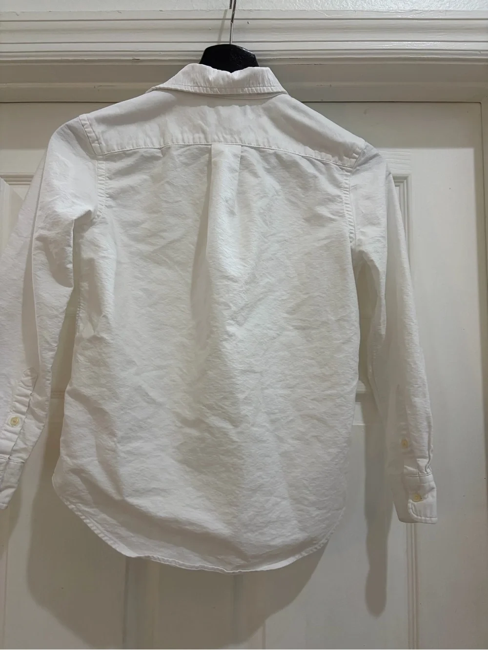 Ralph Lauren timeless polo
